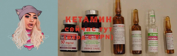 прущие крисы Каменка