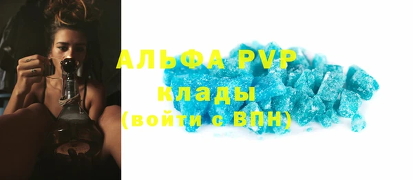 прущие крисы Каменка