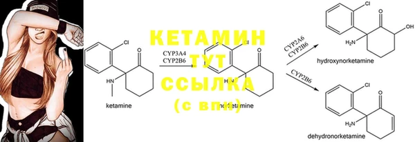 прущие крисы Каменка